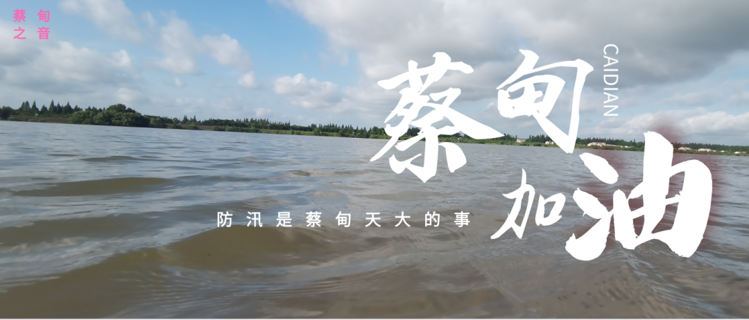 蔡甸區(qū)啟動(dòng)防汛ⅰ級(jí)應(yīng)急響應(yīng)，做好鋪土釘防汛木樁工作