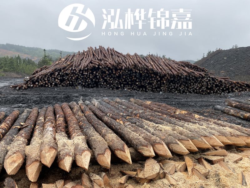 6米長松木樁有哪些作用，多少錢一根？
