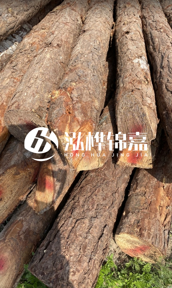 <strong>松木樁和杉木樁的用途區(qū)別？哪個(gè)更適合打樁用？</strong>