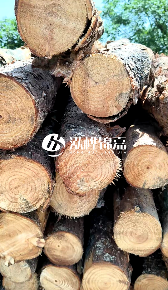 周口挖機打木樁專業(yè)施工-杉木樁施工打樁怎么打？