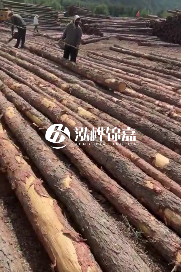 ?？谒赡緲对搭^廠家-松木樁最長(zhǎng)可以做多少米？
