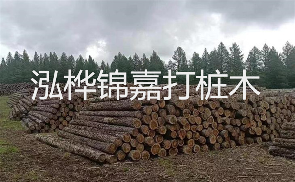 選擇紅磚護(hù)坡，打造獨(dú)特的美麗景觀