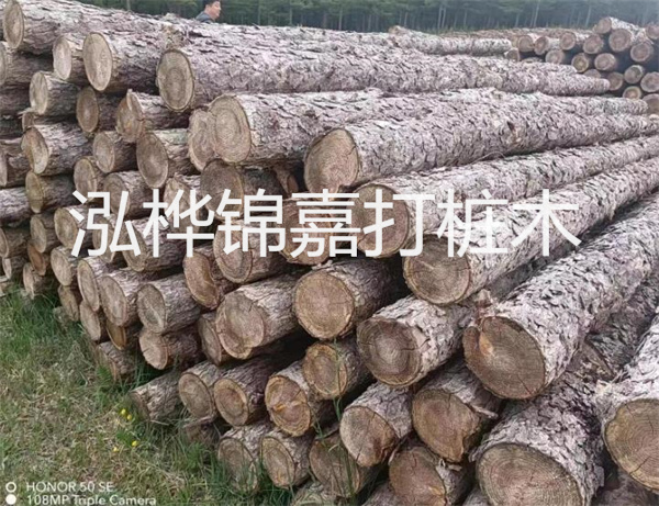 高效修補(bǔ)，保駕護(hù)航！水泥路面高強(qiáng)度修補(bǔ)料為您解決煩惱！