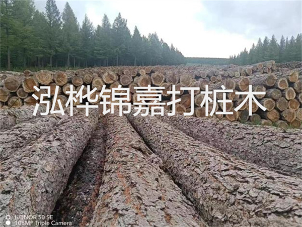 高效施工，圓松木樁助力建筑工程進(jìn)展順利