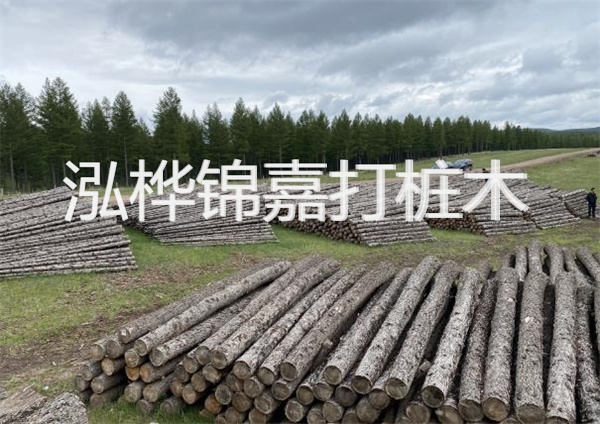 鋼結(jié)構(gòu)施工方案大全免費(fèi)提供，助力工程建設(shè)