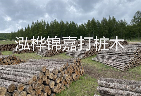 預制松木樁施工工藝：優(yōu)質材料，高效快速，堅固耐用