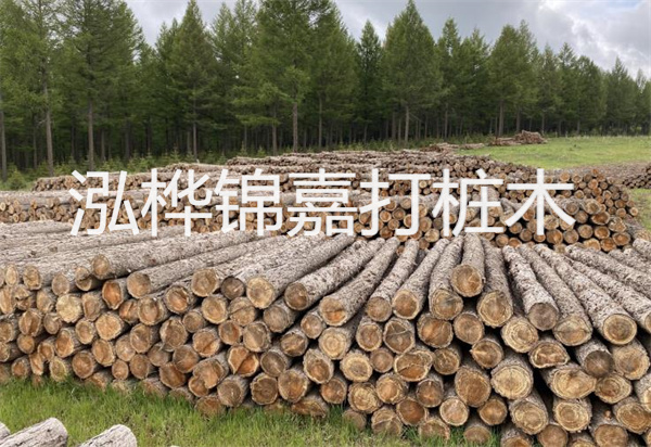 松木樁能施工嗎？探究視頻揭秘真相！