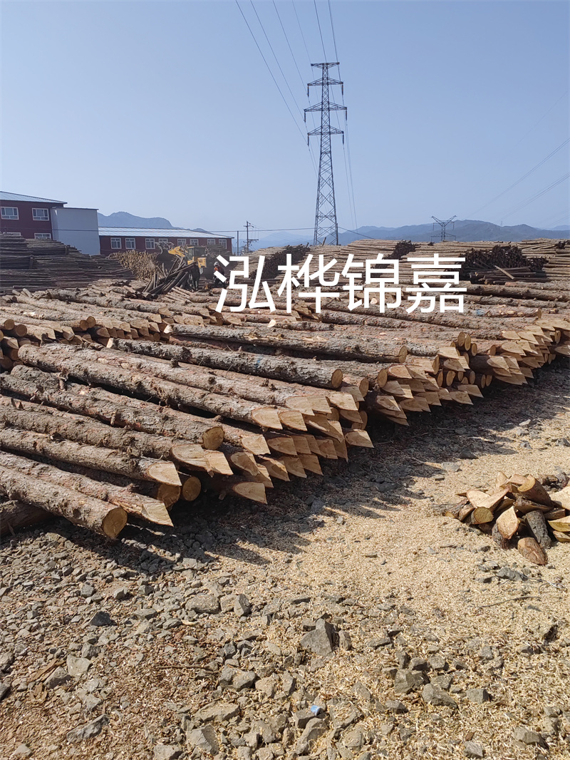 深入了解松木樁基礎(chǔ)施工單價(jià)，助力工程建設(shè)順利進(jìn)行！