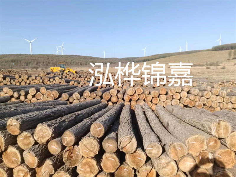溫州松木樁施工廠家——為您打造堅固穩(wěn)定的建筑基礎！