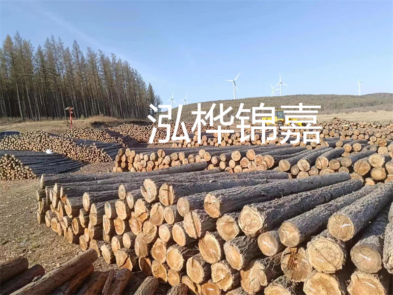 用路基松木樁施工方案提升工程質量描述：了解路基松木樁施工方案的重要性，提高工程質量關鍵詞：路基松木樁，施工方案，工程質量